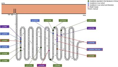 Phenotypes in children with GNAO1 encephalopathy in China
